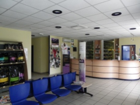 Salle d'attente - Clinique vétérinaire Montréjeau